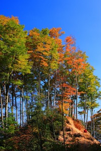 开云体育夜间模式开启-记者：亚沙里将伤缺至少两个月，穆萨的转会已经被叫停，亚沙c队