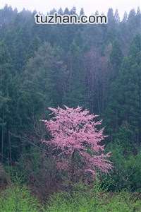 开云体育夜间模式开启-记者：亚沙里将伤缺至少两个月，穆萨的转会已经被叫停，亚沙c队