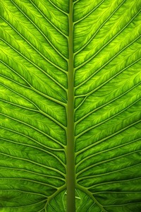 开云体育夜间模式开启-记者：亚沙里将伤缺至少两个月，穆萨的转会已经被叫停，亚沙c队