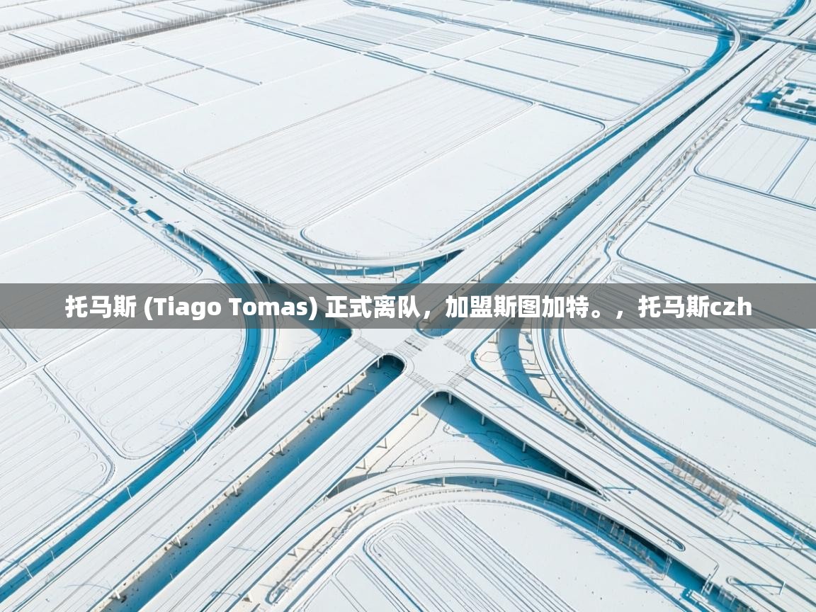 开云官网-托马斯 (Tiago Tomas) 正式离队，加盟斯图加特。，托马斯czh